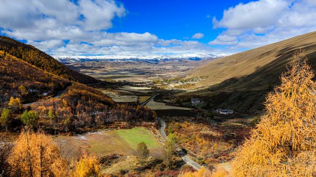 八美镇秋天美景~四川甘孜州
