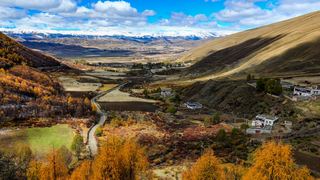 八美镇秋天美景 景点图 288_3