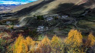 八美镇秋天美景 景点图 288_5