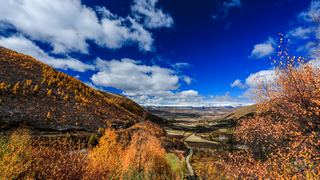 八美镇秋天美景 景点图 288_8