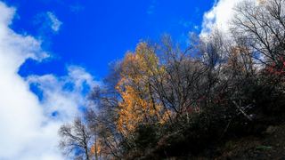 八美镇秋天美景 景点图 288_12