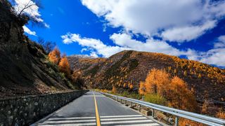 八美镇秋天美景 景点图 288_16