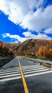八美镇秋天美景 景点图 288_17