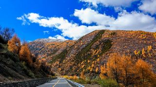 八美镇秋天美景 景点图 288_20