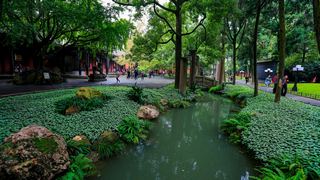 武侯祠 景点图 289_10