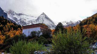 冲古寺 景点图 290_19