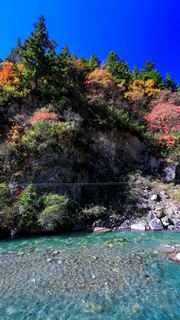 奶子沟彩林 景点图 292_12