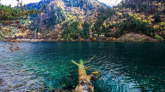 九寨沟镜海~四川阿坝