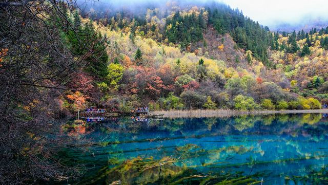 九寨沟五花海~四川阿坝