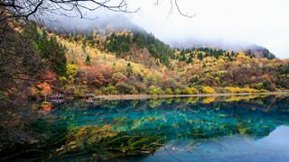 九寨沟五花海 景点图 300_2