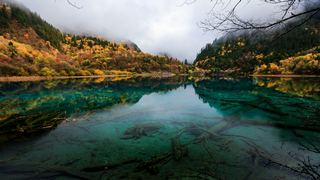 九寨沟五花海 景点图 300_3