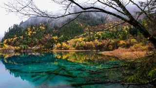 九寨沟五花海 景点图 300_4