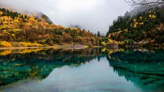 九寨沟五花海 景点图 300_5