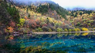 九寨沟五花海 景点图 300_6