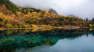 九寨沟五花海 景点图 300_7