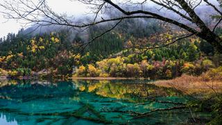 九寨沟五花海 景点图 300_9