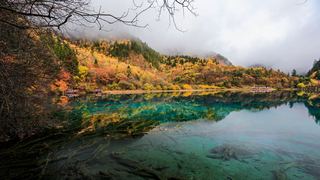 九寨沟五花海 景点图 300_10
