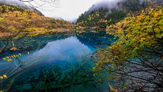 九寨沟五花海 景点图 300_11