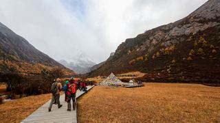 洛绒牛场 景点图 303_4