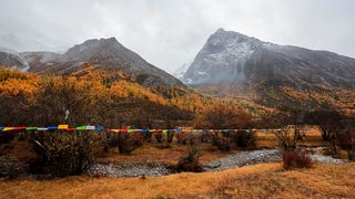 洛绒牛场 景点图 303_5