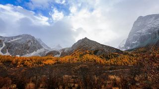 洛绒牛场 景点图 303_8