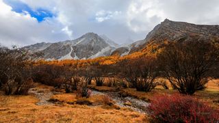 洛绒牛场 景点图 303_10
