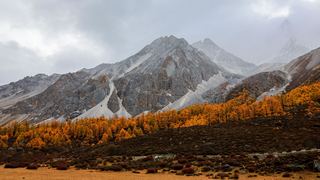 洛绒牛场 景点图 303_11