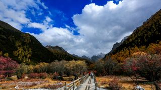 冲古草坪 景点图 304_8
