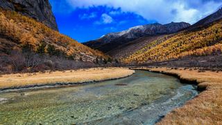 稻城亚丁自然保护区 景点图 305_15