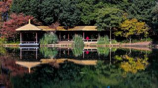 西湖2013秋天 景点图 306_4