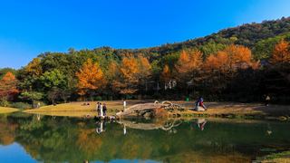 西湖2013秋天 景点图 306_5