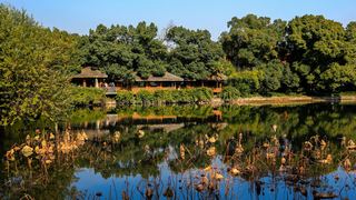 西湖2013秋天 景点图 306_7