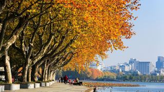 西湖2013秋天 景点图 306_9