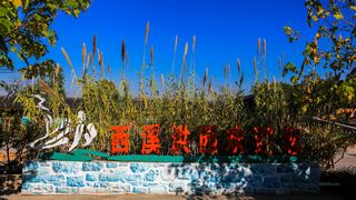 西溪洪园2013秋天 景点图 307_6