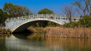 西溪洪园2013秋天 景点图 307_14
