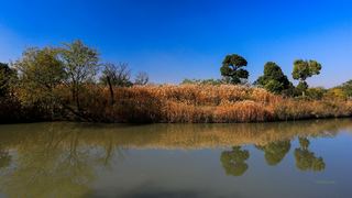 西溪洪园2013秋天 景点图 307_18