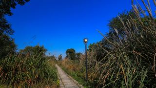 西溪洪园2013秋天 景点图 307_20
