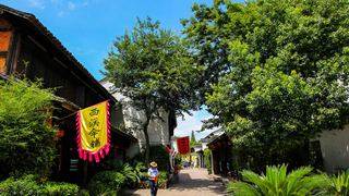西溪湿地2012夏季 景点图 31_2