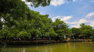 西溪湿地2012夏季 景点图 31_12