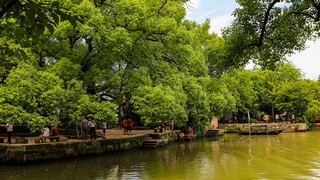 西溪湿地2012夏季 景点图 31_13