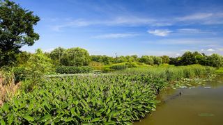 西溪湿地2012夏季 景点图 31_15