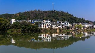 新安江山水画廊春天油菜花 景点图 312_9