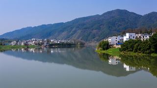 新安江山水画廊春天油菜花 景点图 312_20