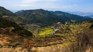 覆卮山春天梯田油菜花海 景点图 313_4