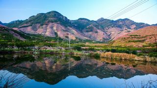 源东桃花节 景点图 314_2