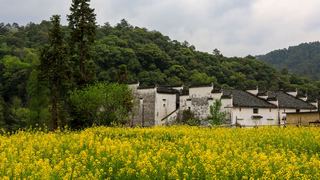 婺源思口镇漳村 景点图 317_4