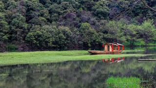 婺源思口镇漳村 景点图 317_5