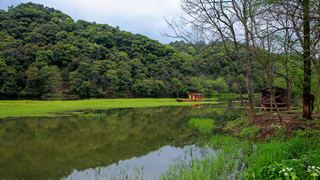 婺源思口镇漳村 景点图 317_6