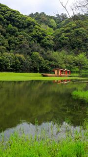 婺源思口镇漳村 景点图 317_7