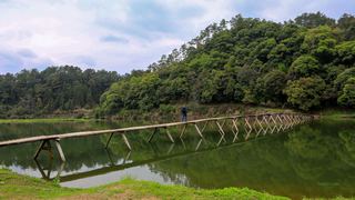 婺源思口镇漳村 景点图 317_9